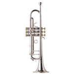 Eastman Intermediate Trumpet w/Gold Trim