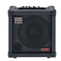 ROLAND CB30 CB-30 Bass Amp