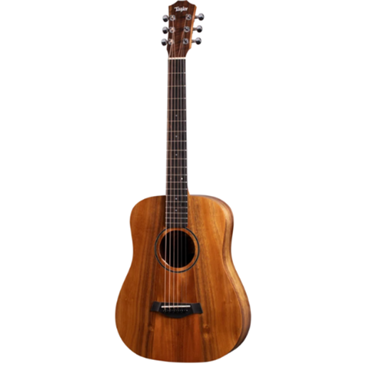 TAYLOR BTEKOA Acoustic Guitar