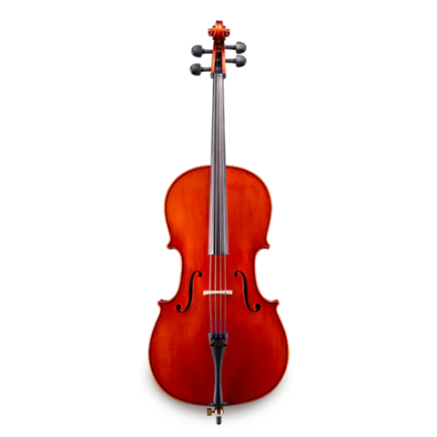 Eastman 4/4 Student Cello [ENTRY LEVEL]