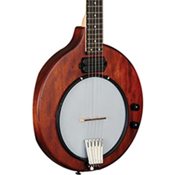 Gold Tone EB5 Electric Banjo w/ Gigbag