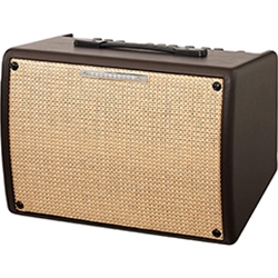 Troubadour T15II Acoustic Guitar Amp