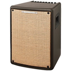 Troubadour T80II Acoustic Guitar Amp