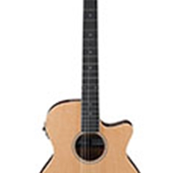 IBANEZ AEG7TNNT AEG Nylon String Guitar **AIMM Exclusive**