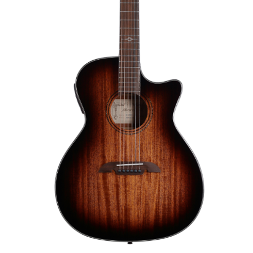 Alvarez AG66CESHBDLX GA Acoustic Guitar w/ LR Baggs VTC
